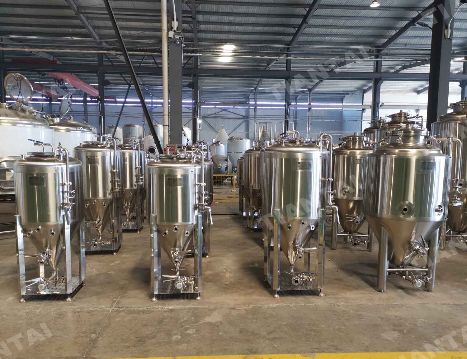 100L mini stainless steel beer fermenters | TianTai® 2-150HL brewery ...